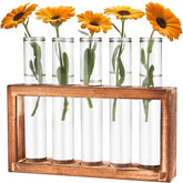 Glass Wooden Stand with 5 Test Tubes
